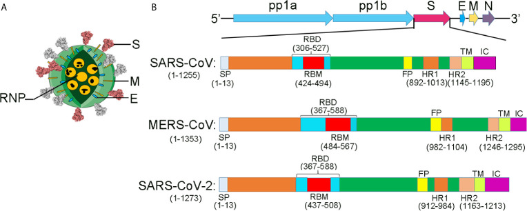 Figure 3