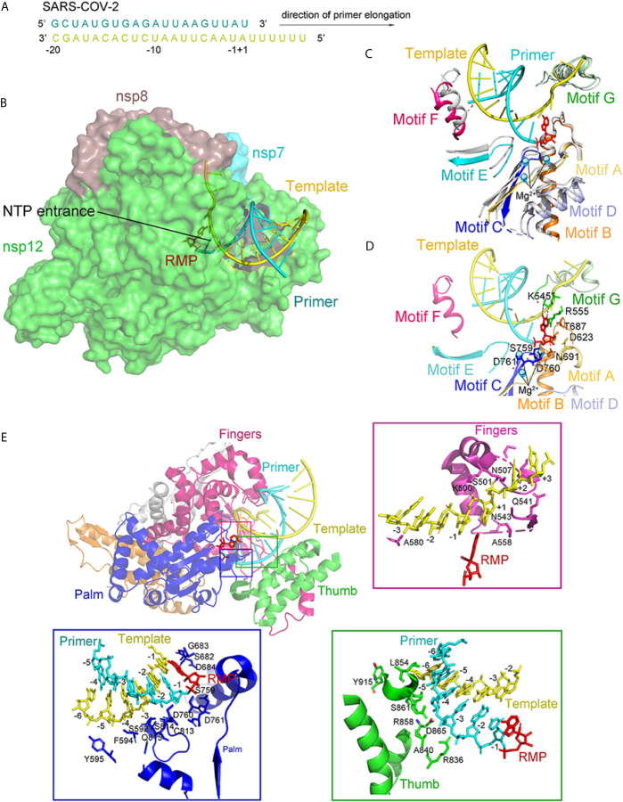 Figure 11