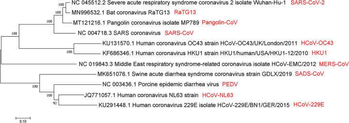 Figure 1