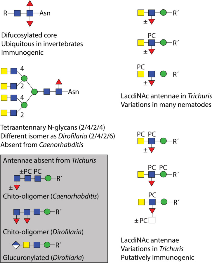 Figure 10: