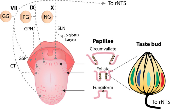 Fig. 3
