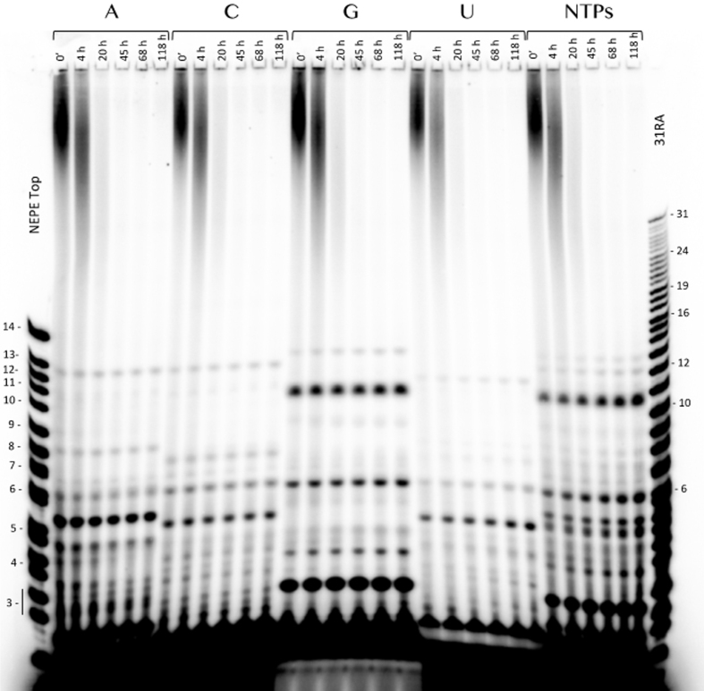 FIG. 5.