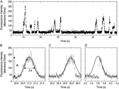 FIGURE 3