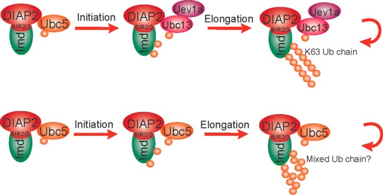 Figure 7.