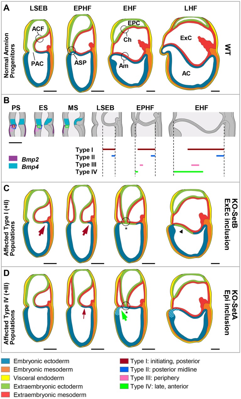 Fig. 8.