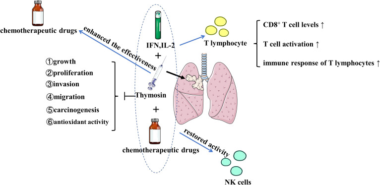 Figure 2