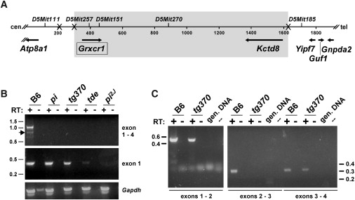 Figure 1