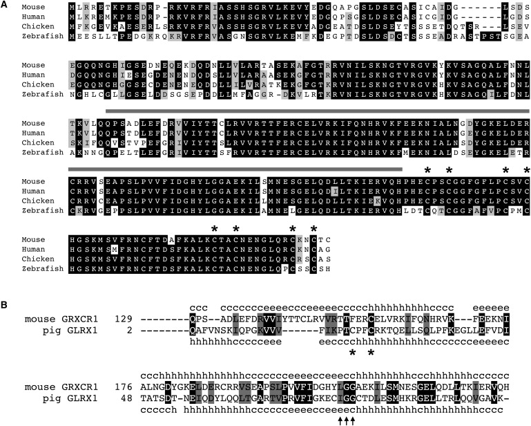 Figure 3