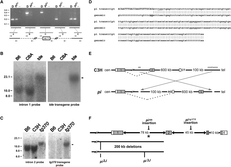 Figure 2