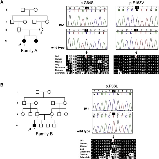 Figure 6