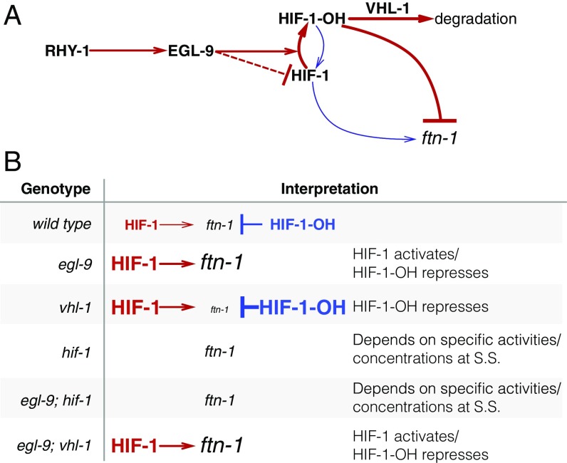 Fig. 8.