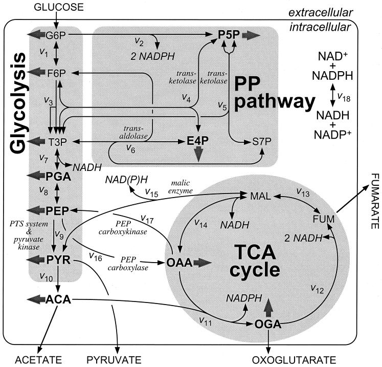 FIG. 2.