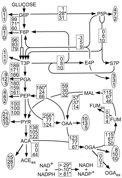 FIG. 6.