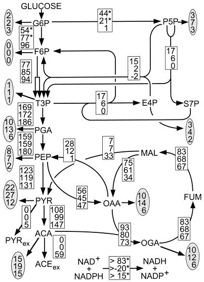 FIG. 4.