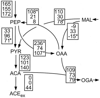 FIG. 7.