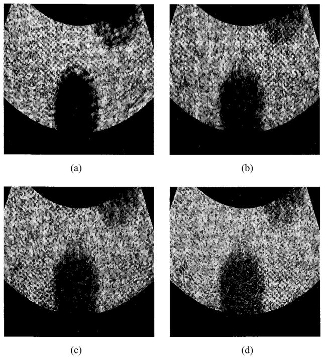 Fig. 8