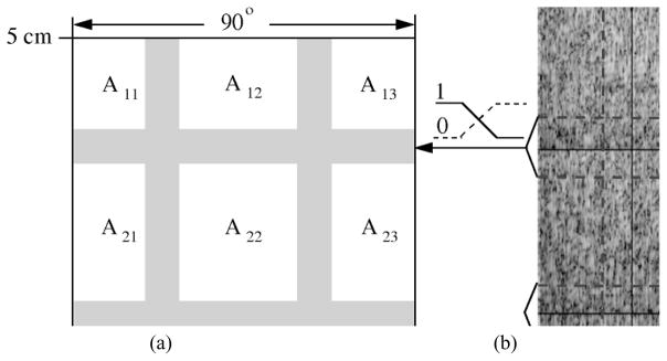 Fig. 10