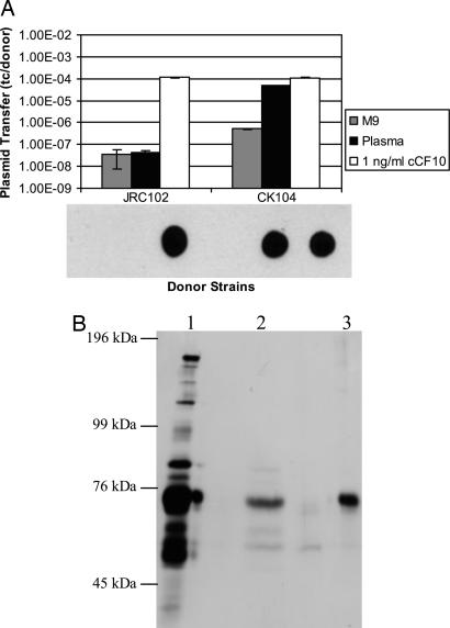 Fig. 3.