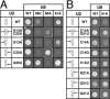FIGURE 4.