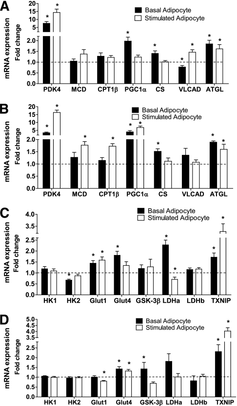 FIG. 6.