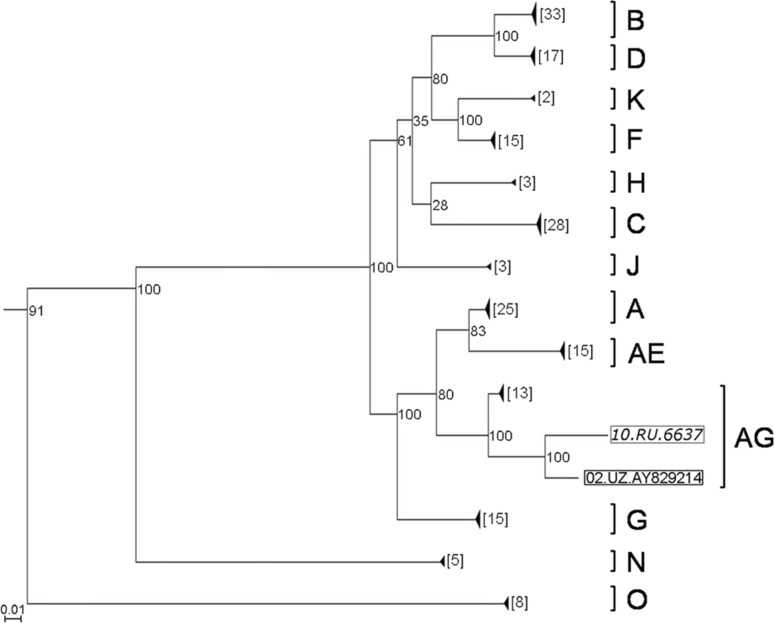 Fig. 1