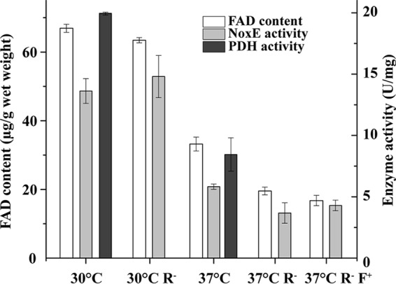 Fig 5