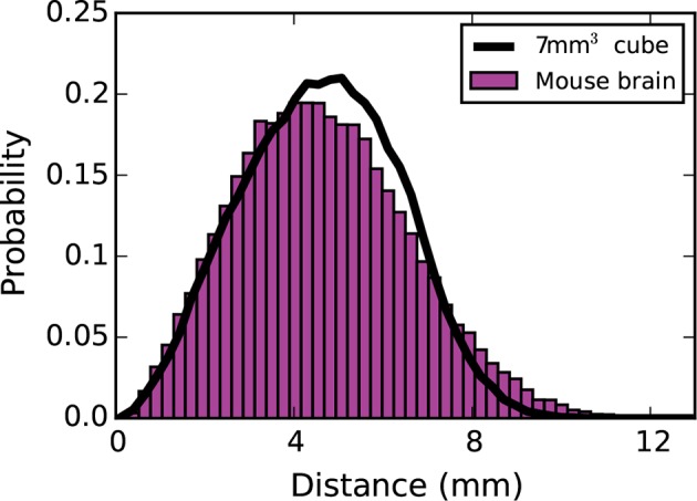 Figure 5—figure supplement 4.