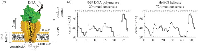 Figure 4.