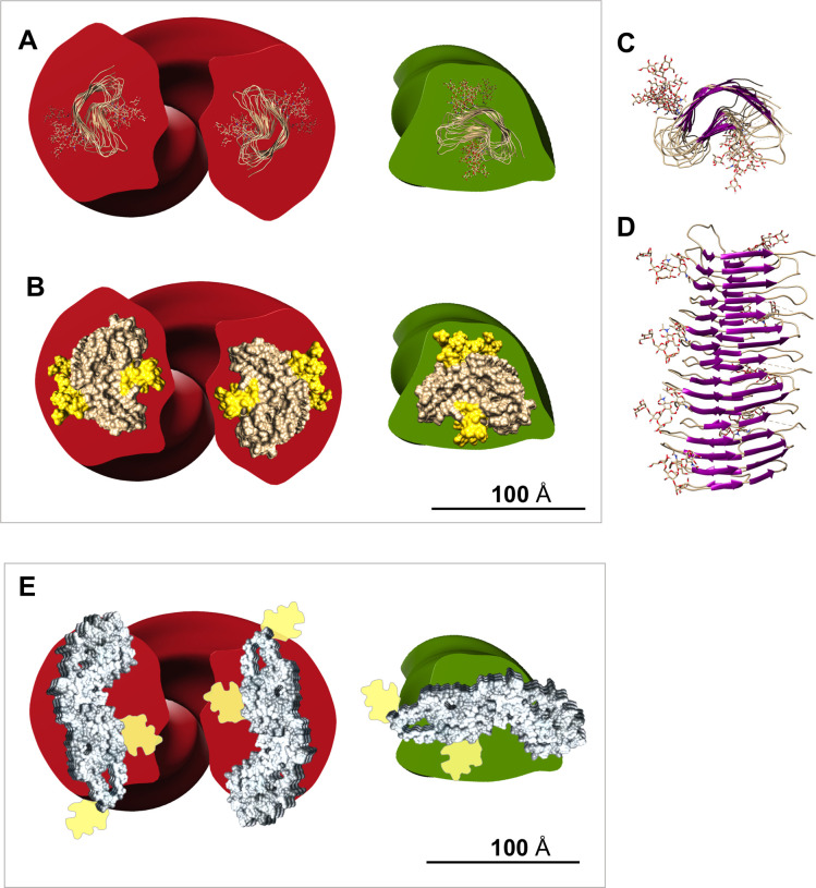 Fig 10