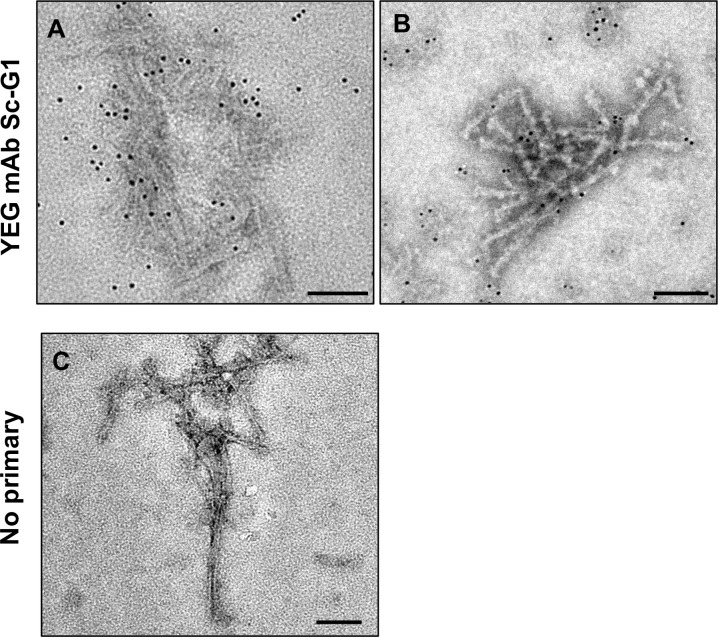 Fig 12