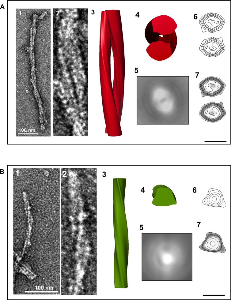 Fig 7