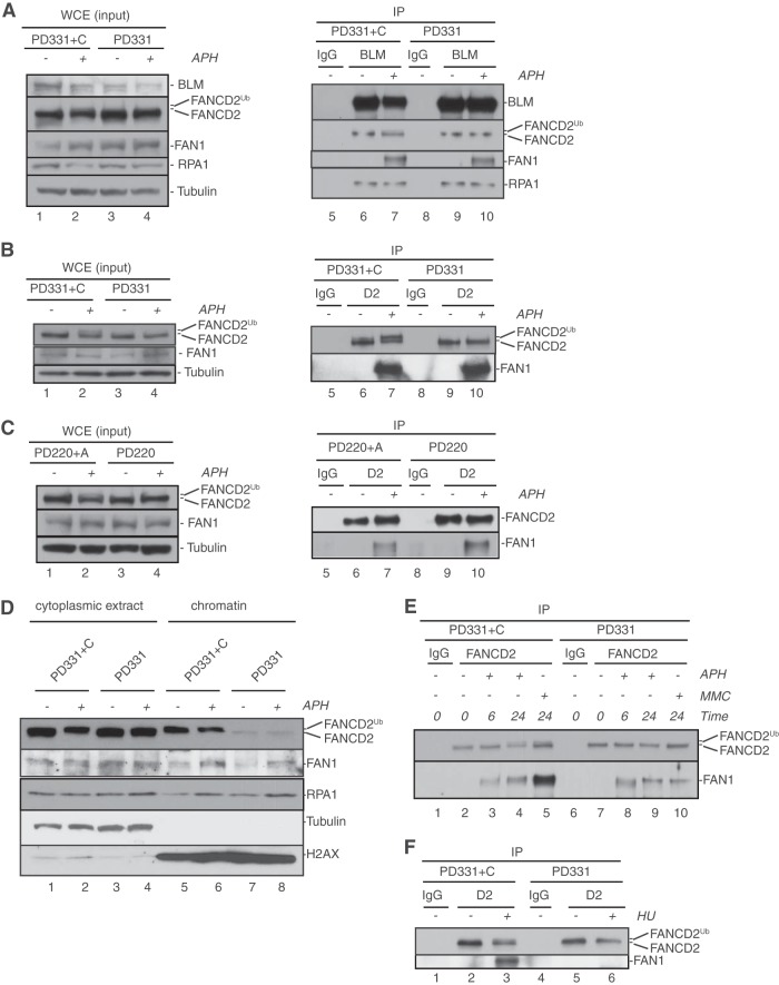 FIG 5