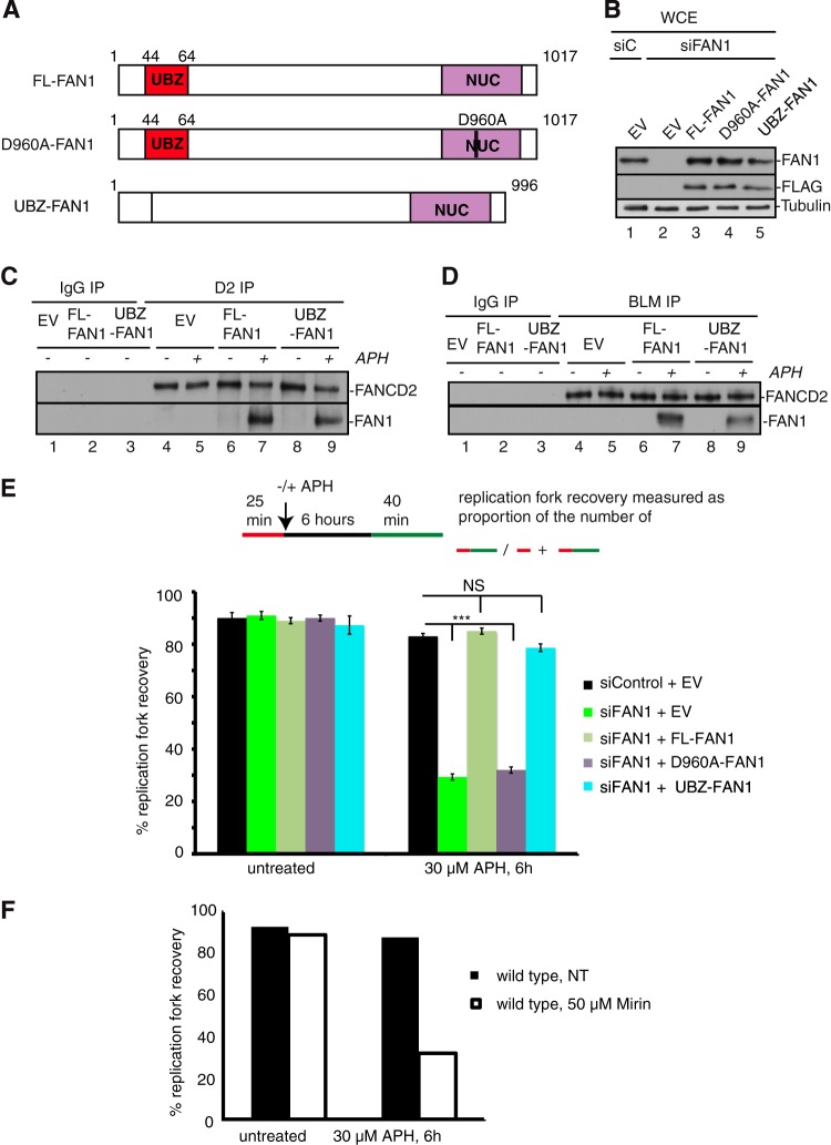 FIG 6