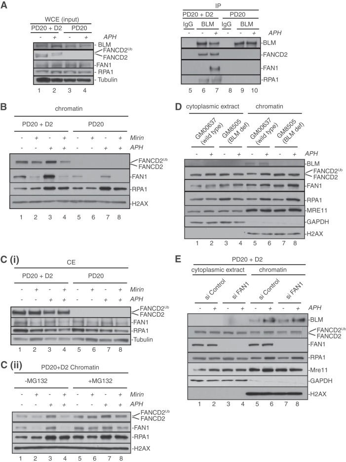 FIG 1