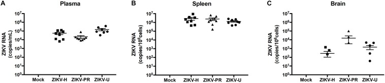 FIGURE 4