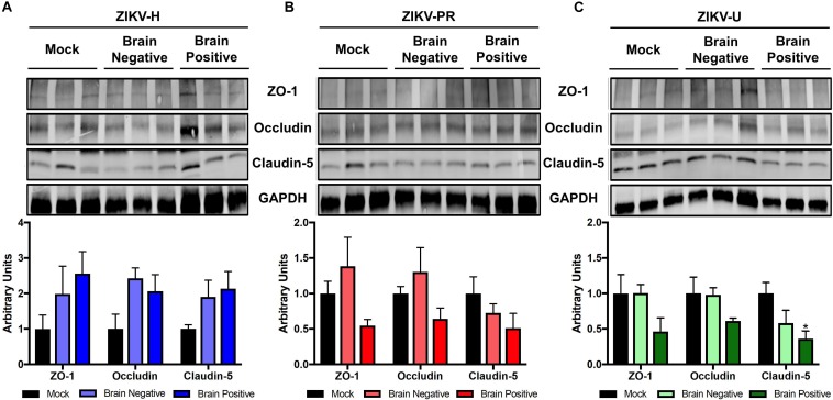 FIGURE 6