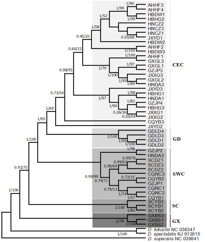 Figure 2