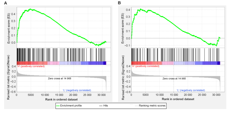 Figure 6