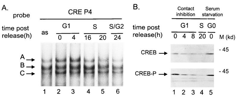 FIG. 6