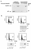 FIG. 7