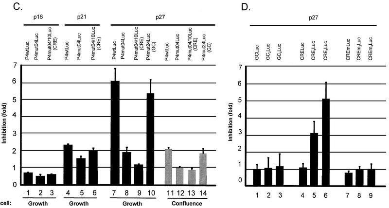 FIG. 7