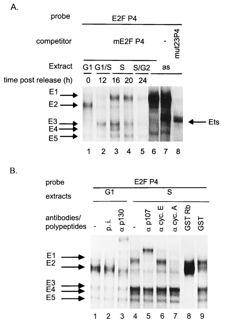 FIG. 5