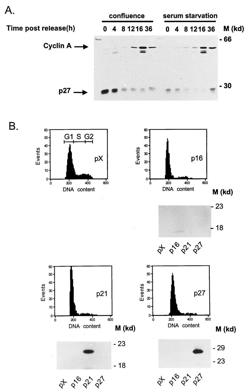 FIG. 7