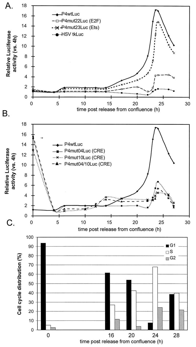 FIG. 3