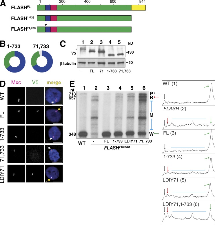 Figure 3.