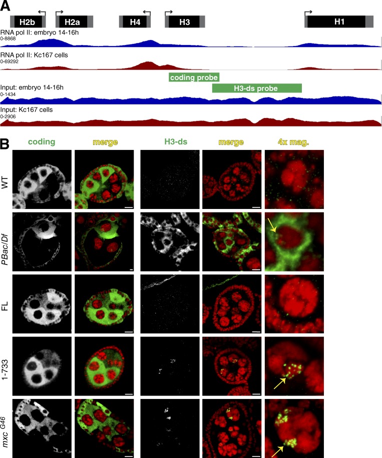 Figure 6.