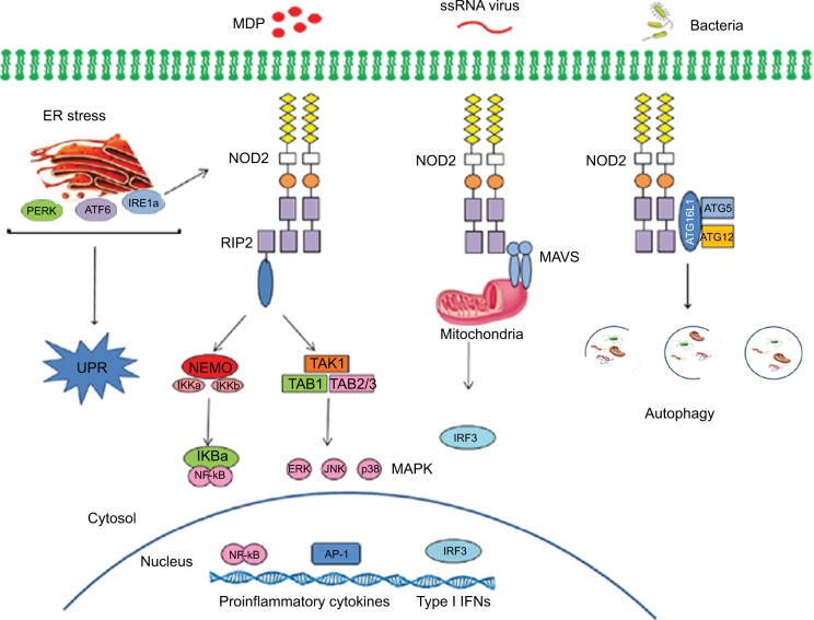 Figure 2