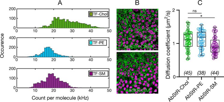 Figure 6.