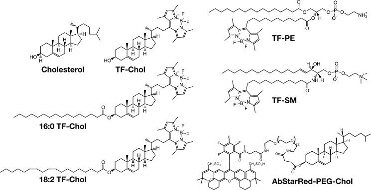 Figure 1.