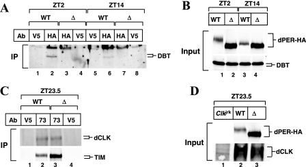 FIG. 6.